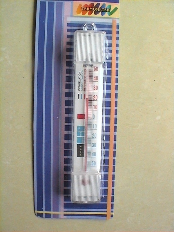 FS-106冰箱温度计