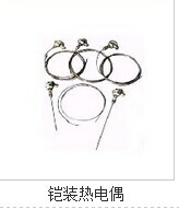 WRK铠装热电偶