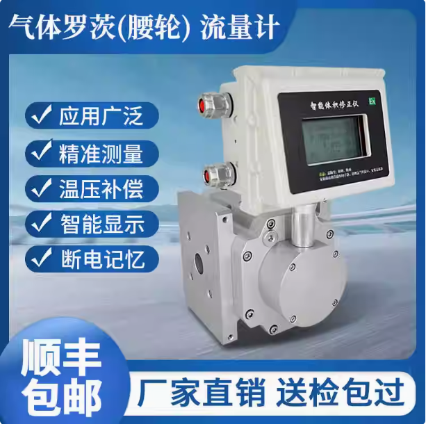 LLQ-100气体罗茨腰轮流量计...