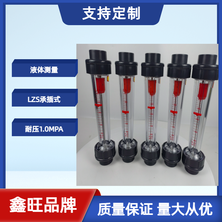 LZS-25塑料管浮子流量计
