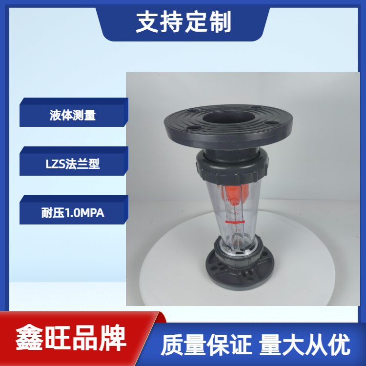 LZS-100塑料管浮子流量计...